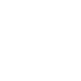 RGS white transparent